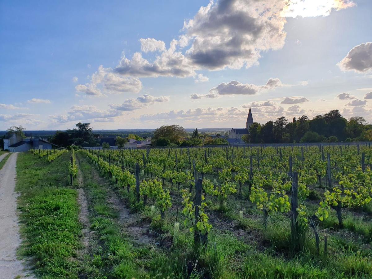 Le Gite Du Puits Aubert Breze ภายนอก รูปภาพ